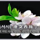 교훈글-당돌서시(唐突西施) 이미지
