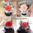 플레르망고충주