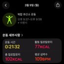 서초중앙로8길 38-20 | Moment of March, 2026 #03 / 0309-0315