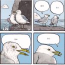 수인당구장 이미지