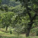 숙이네농장 이미지