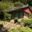 백련사 Daum카페