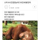 하입 앤(HYPE&) | 수원 속눈썹펌 하입(Hype) 후기 - 속눈썹이 하이하이이하이