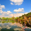 무릉도원 이미지