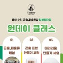 팀버렙타일 이미지