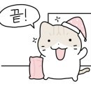 고양이묭실 이미지