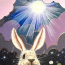 거제문화예술회관 이미지