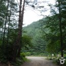 국립청옥산자연휴양림 이미지