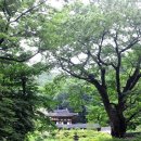 시나브로 이미지