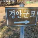 경안군 및 임창군묘 이미지