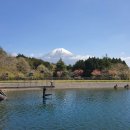 후지산 둘레길 그리고 시즈오카현 여행기 이미지