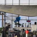 바위골 낚시터 이미지