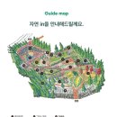 자연인힐링족욕