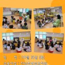 진남초교병설유치원 이미지