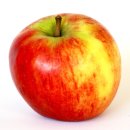 [ 5월 11일 탄생화] 사과(Apple) 이미지