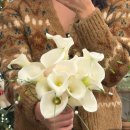 청심로132번길 | 여주 이천 본식 부케 이천 빌라들아 모르 웨딩홀