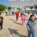 장천초교 이미지