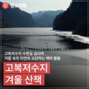 고복자연공원 갈대습지원 | 고복저수지 수변길 걸으며 겨울 속의 자연과 교감 / 직장맘들 걱정은 이제 그만🖐🏻고용유지지원사업확인...