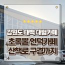 초록땅 | 강원도 태백여행 가볼만한곳 산책로가 예쁜 대형카페 초록뿔언덕카페 후기