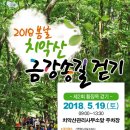 명품소나무길 이미지