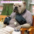 앗싸 Daum카페