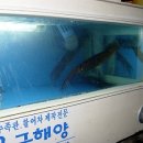 로타리수족관