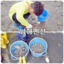 남해펜션타운 | 남해 펜션 여름 수영장 갯벌체험 무료 놀다온 가족펜션 추천