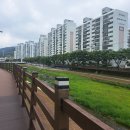소남천 티스토리