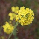 고향의봄도서관 이미지