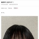 뽀삐미용실 이미지