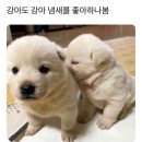 모든 게 잘 될거야 이 겨울 지나면