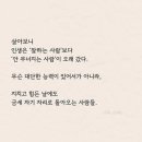 입추편지. 부유한삶. 노인애환. 달걀조합. 흰구름 가는 길. 이미지