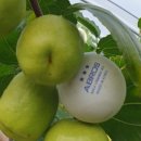 부일농장 이미지