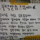 개주인 Daum카페