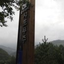 옥희농장 네이버블로그