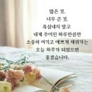 [컬럼] 세월 가도 변치 않는 사랑 이미지