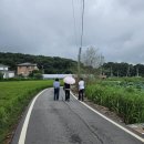 교동 연꽃마을 펜션 | (강화교동가볼만곳)고구저수지연꽃마을.난정리해바라기정원.대룡시장