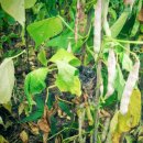 원두골농장 이미지