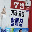 고성곰장어