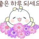 합천해피캠핑 이미지