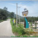 김삿갓면-46 | 두위지맥 3구간(새비재-예미산(989.6m)-망경대산-망경산사).