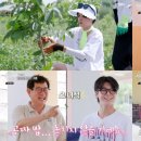지구엔터테인먼트 이미지