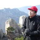 오봉능이백숙 Daum카페