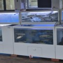 봉곡로-20 이미지