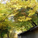오후의산책