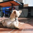 다정매점 이미지