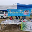 주동초등학교 이미지