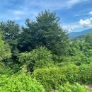오수보건지소 이미지