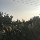 보미목장 네이버블로그