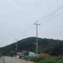 강화자연농원펜션 이미지